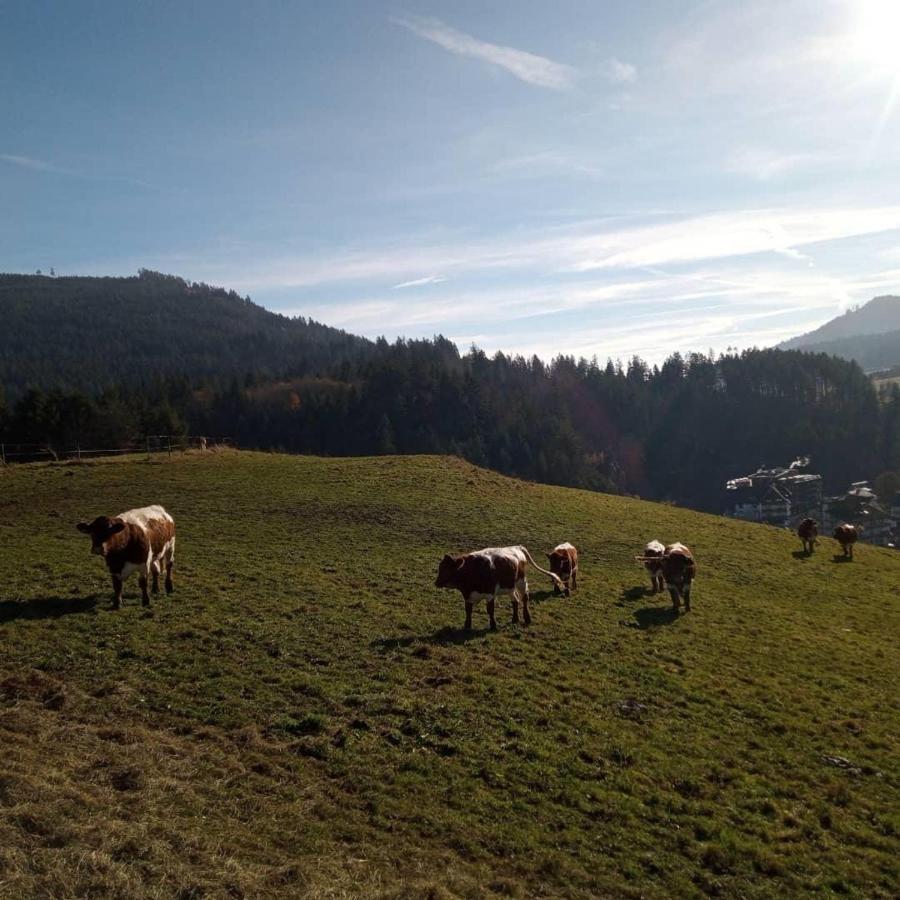S'Heimatgfuehl Villa Schwarzenberg  Exteriör bild