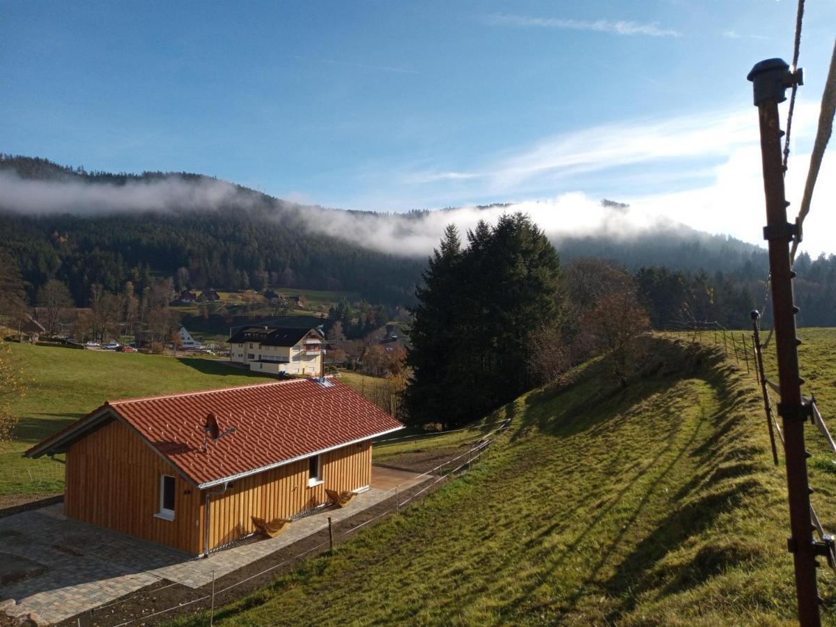 S'Heimatgfuehl Villa Schwarzenberg  Exteriör bild